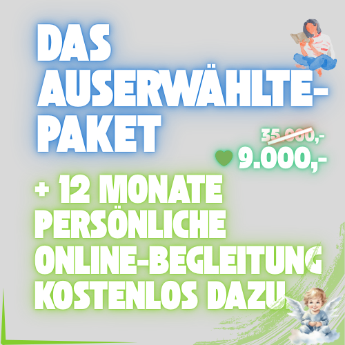 🧩🧩 Exklusiv-Paket für Auserwählte | Unternehmer | Visionäre | + 12 Monate Online Begleitung | + Klassen ① bis ⑤ | + Extrem viel mehr 💚 - Image 3